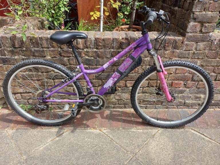 Bicycle for free
