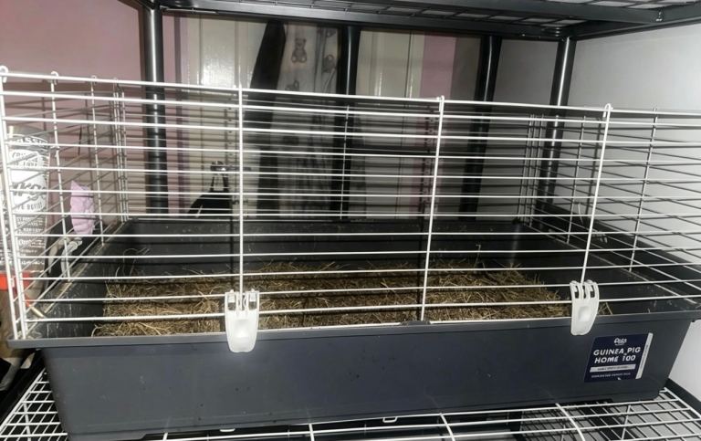 Small animals cage