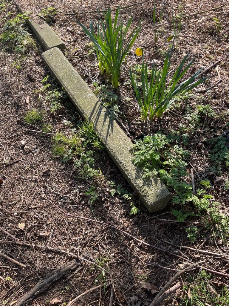 Concrete curbs