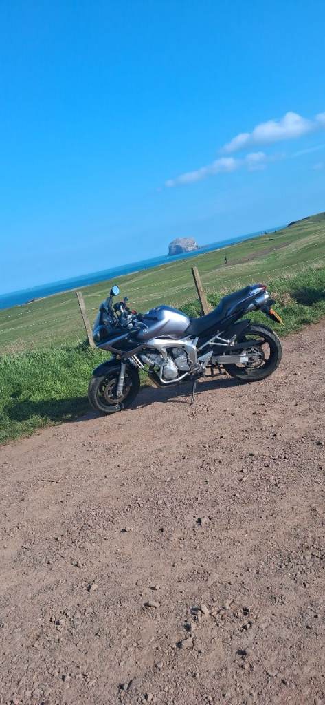Yamaha, FZ 6, 2005, 599 (cc)