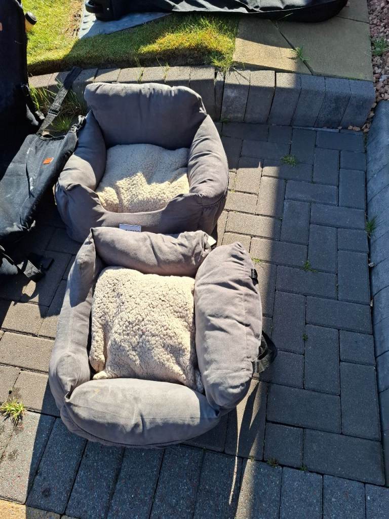 We have 4 car or dog beds for small to medium sized dogs. You can pick any ony for Only £10 Each.