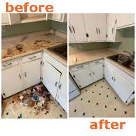 Professional Deep Cleaning Services London - End of Tenancy, Carpet, Deep, Domestic House Cleaners 