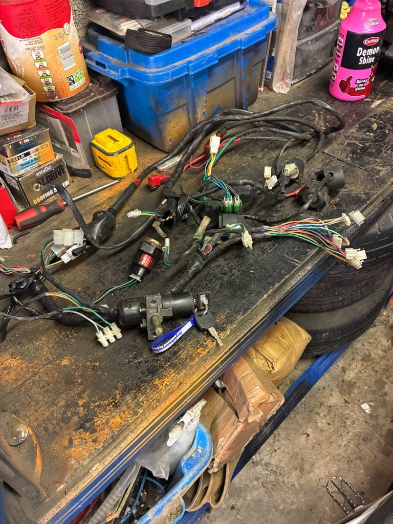 Moped wiring harness 