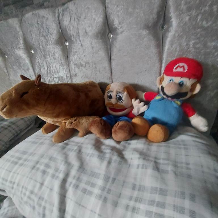 Selection of Plush Toys - Capybara, Dog Puppet, and Super Mario
