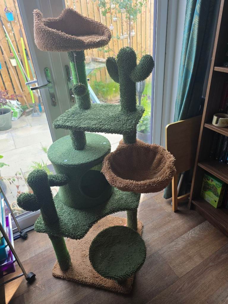 Kitten cactus scratch post climbing tree