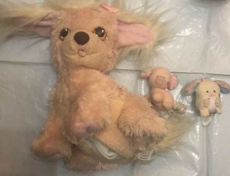 Puppy surprise soft toy