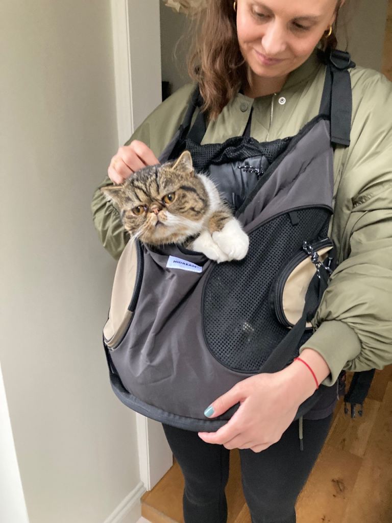 Pet carry bag
