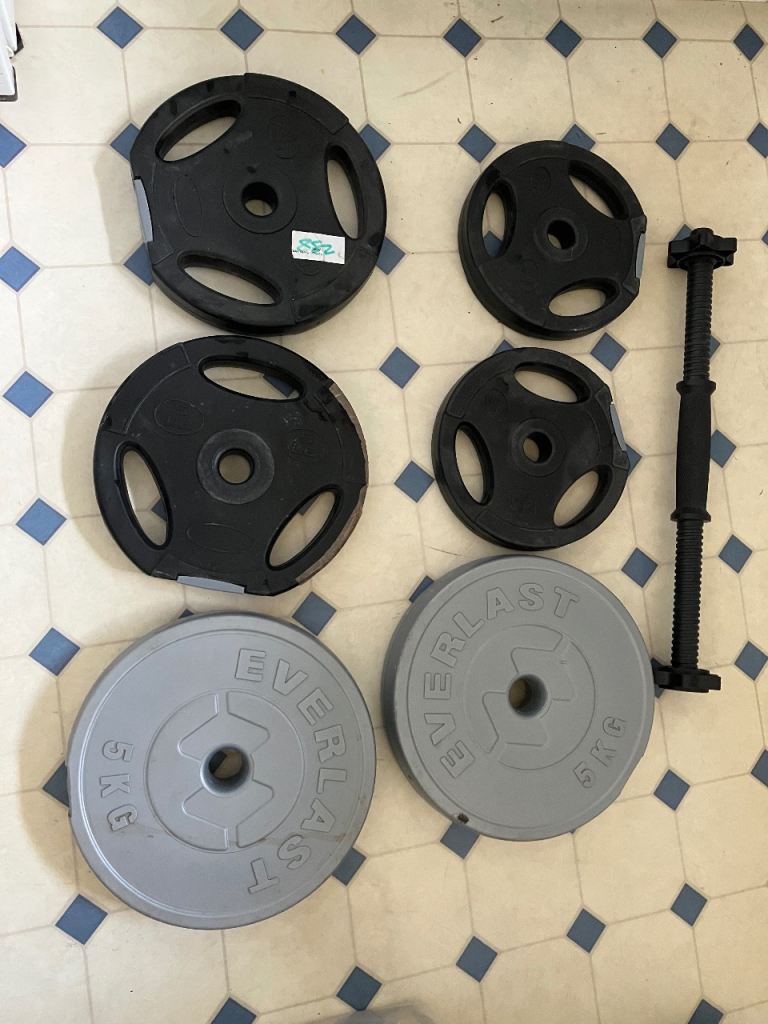 Everlast Weight Plates and Dumbbell Bar - Good Condition