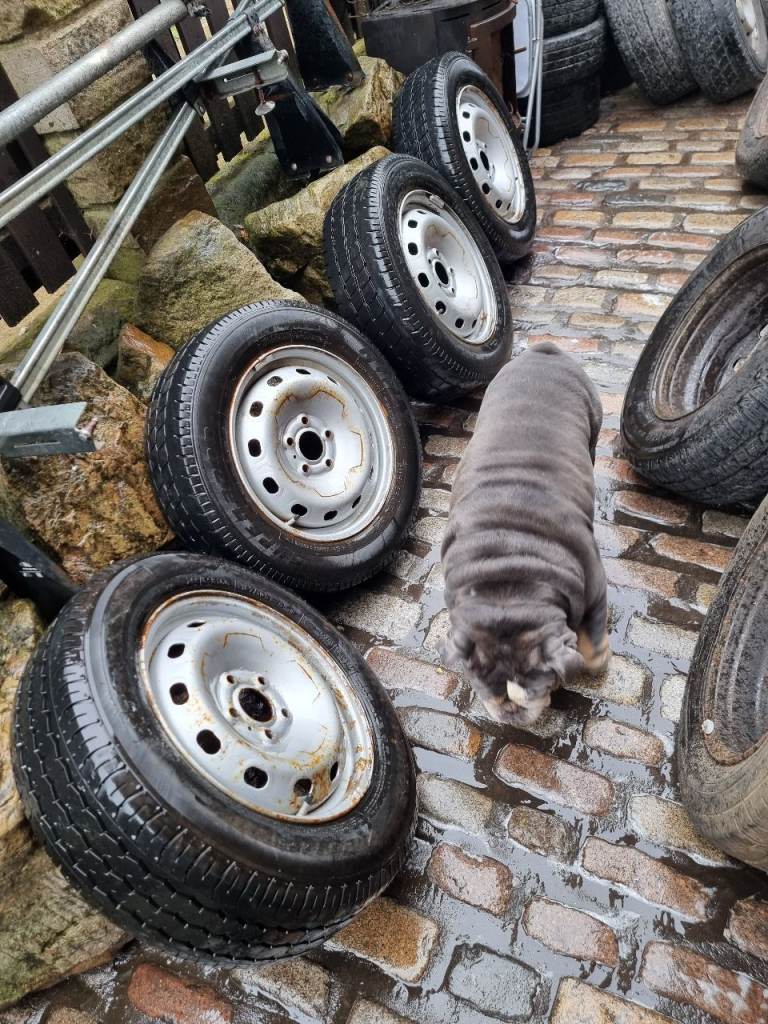 4x good clean vivaro traffic or primstar wheels and tyres Ready to use