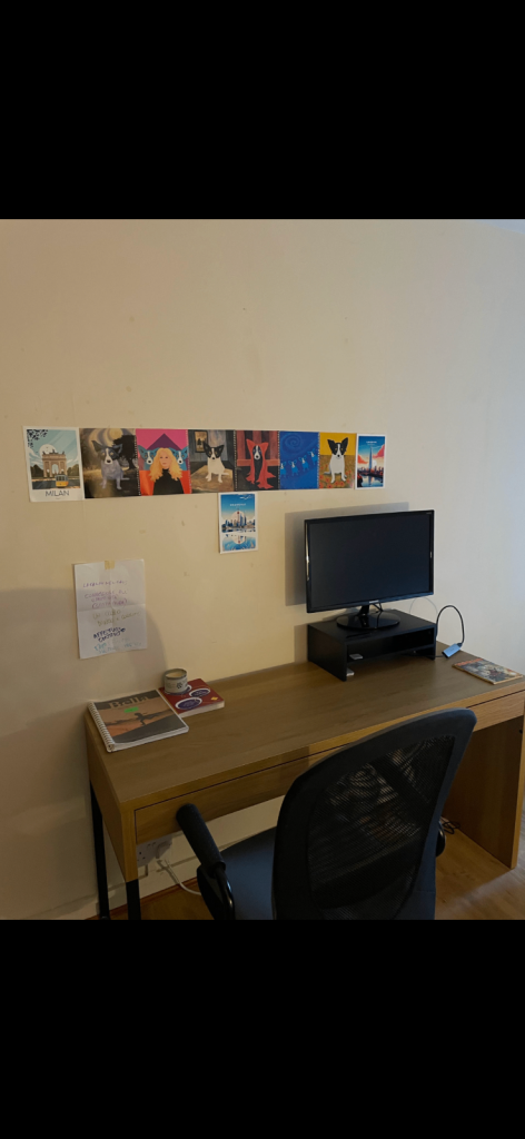 IKEA Micke Desk (like new)