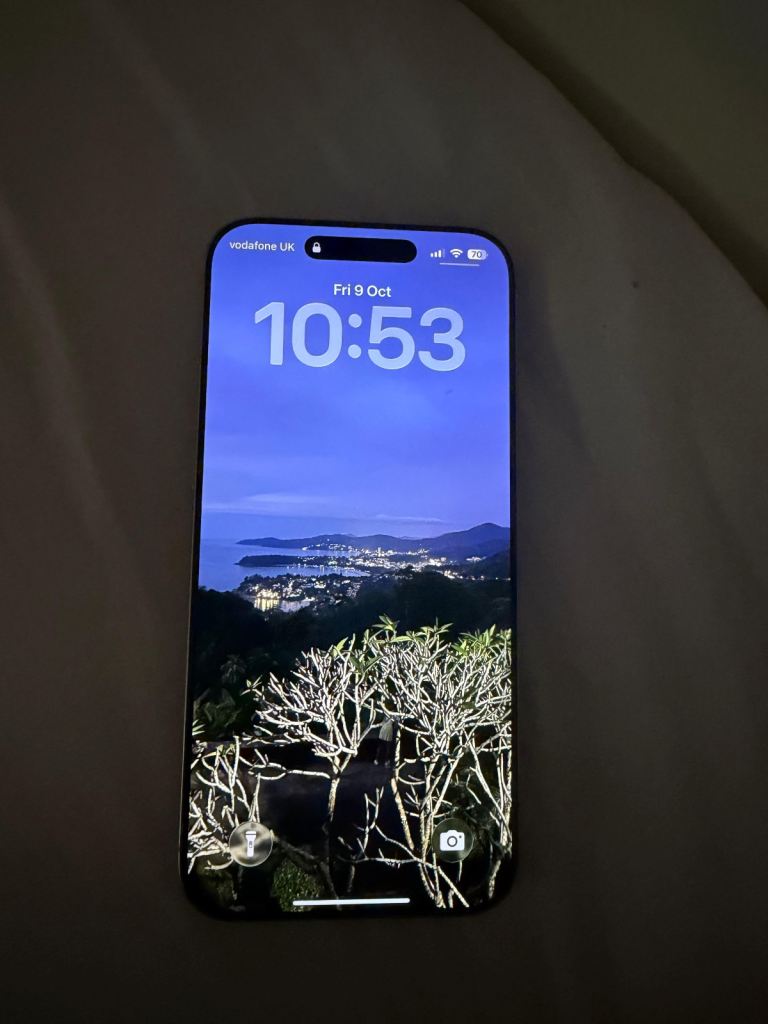 Iphone 16 Pro Max 256GB White Titanium | in Redbridge, London | Gumtree