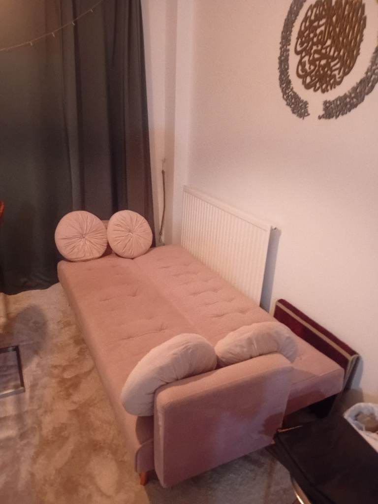 Pink Velvet Sofa Bed with Cushions – Good Condition