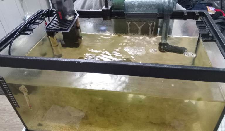 Complete marine set up tank 