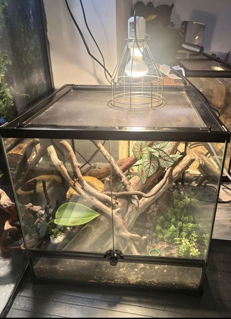 vivarium ( message for more info)