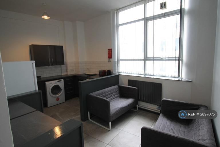 4 bedroom flat in Ranelagh Street, Liverpool, L1 (4 bed) (#2897075)