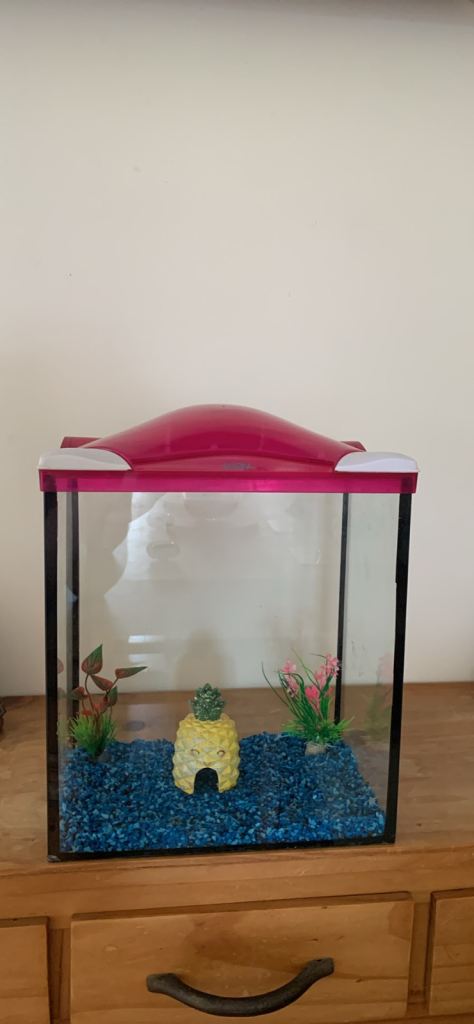 Fish tank 