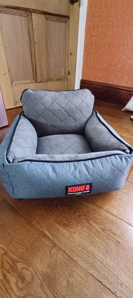 Kong Dog safety car seat and tether 