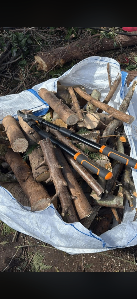 Free logs 