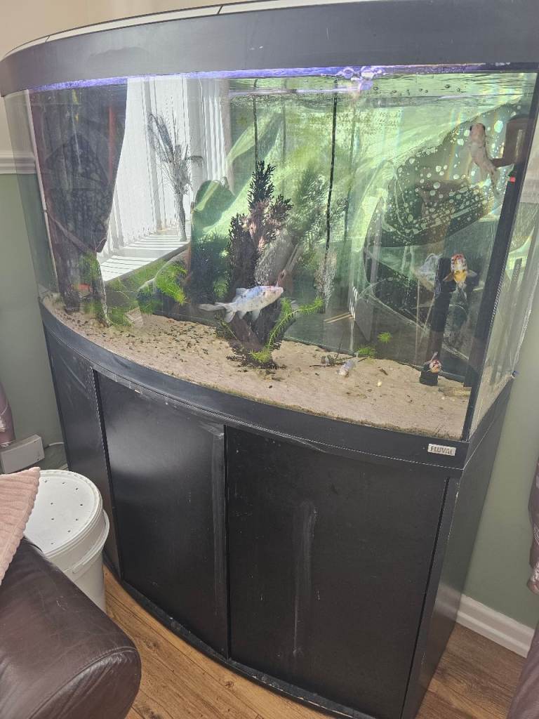 Fluval Vincensa 260l Aquarium
