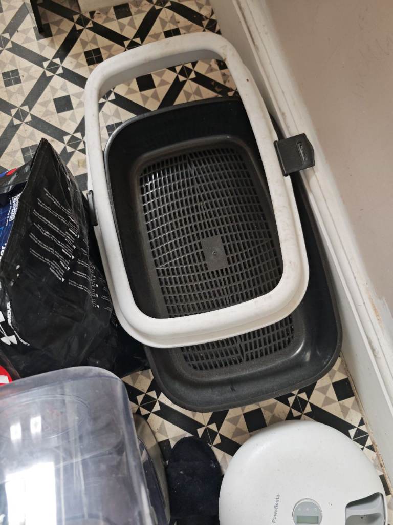 Car litter tray and automatic feeder