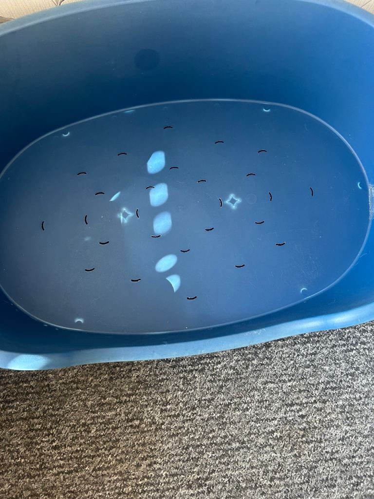 Large Blue Plastic Dog Bed 