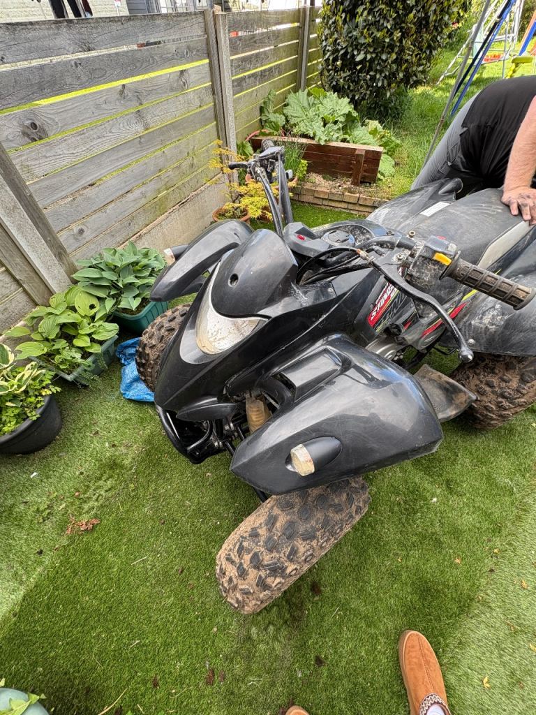 Quadzilla stinger 100 cc quad bike. 