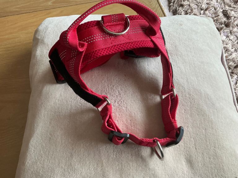 Parapet Dog Harness Medium Size As New