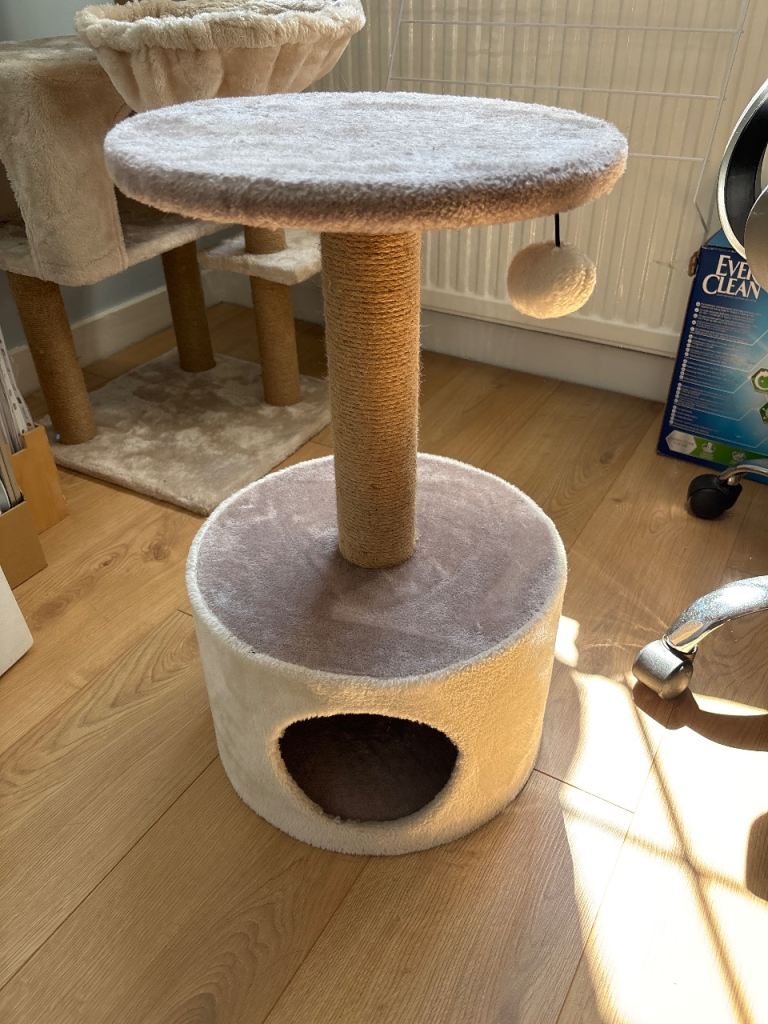 Pets at home scratching post toy perch