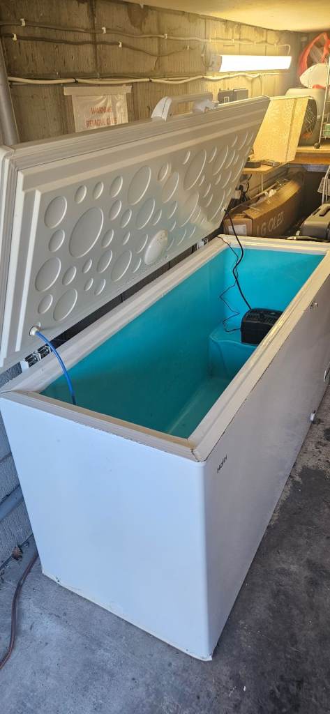 Cold Plunge - Chest Freezer