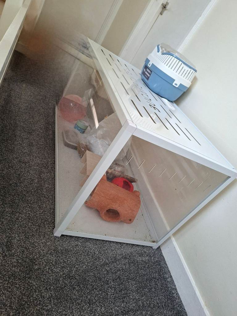 Large animal cage 