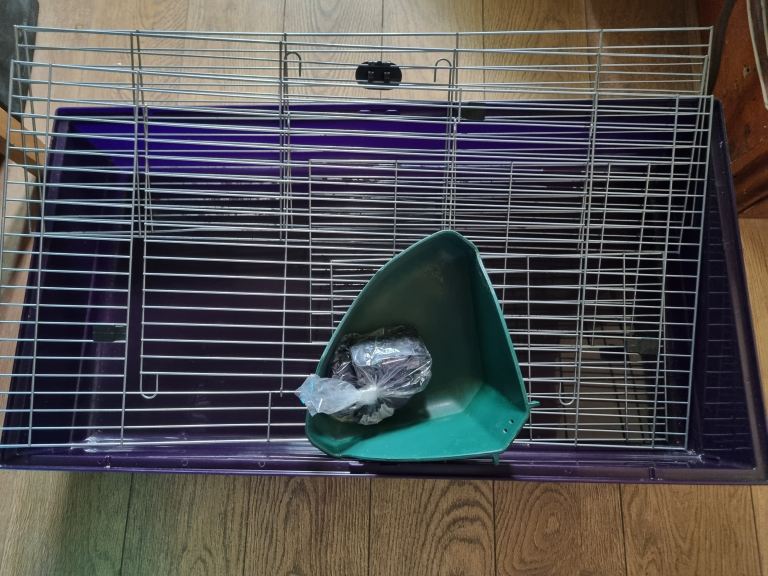Large guinea pig rabbits indoor cage