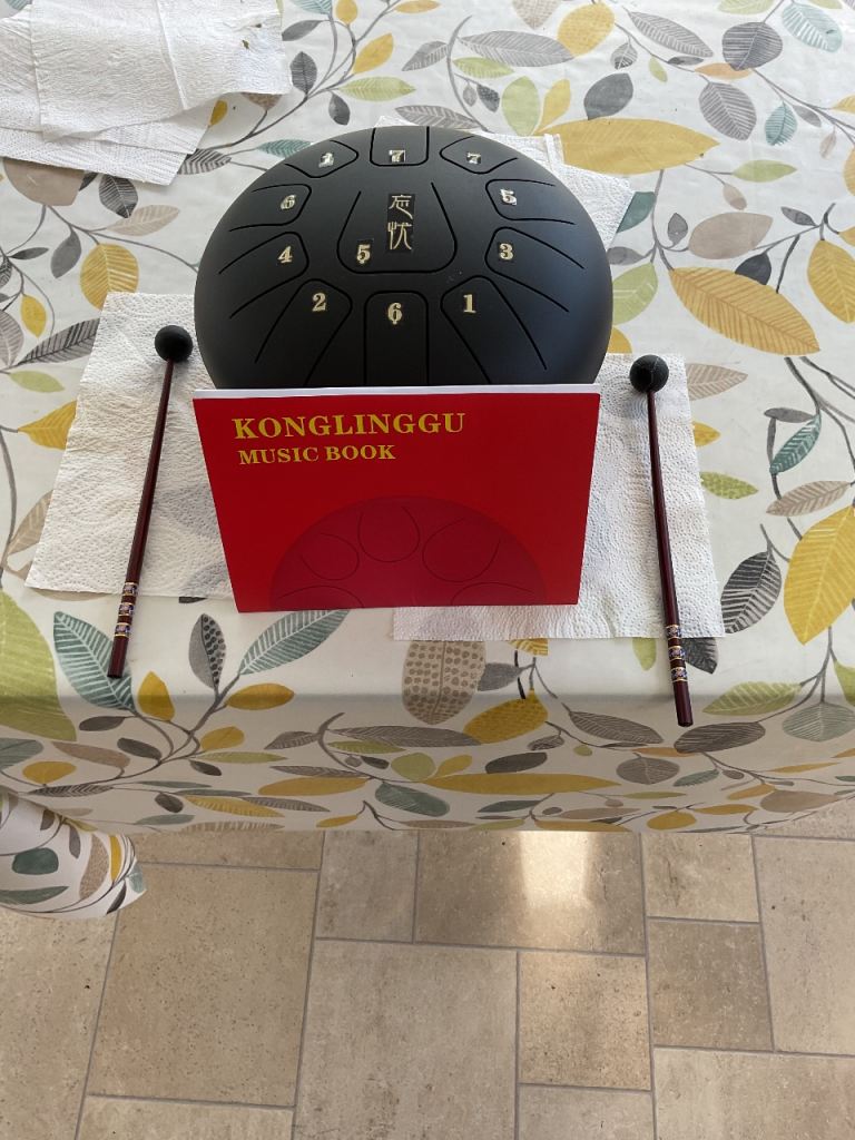 Steel Percussion Tongue Drum