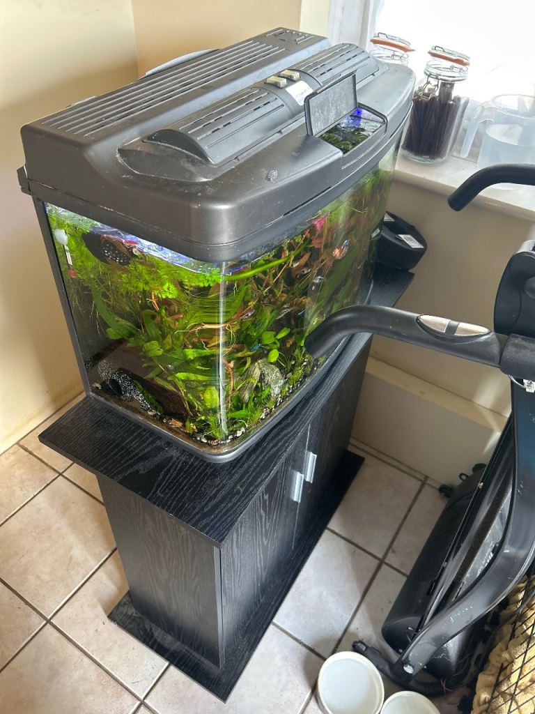 Fish tank, cabinet and guppies 