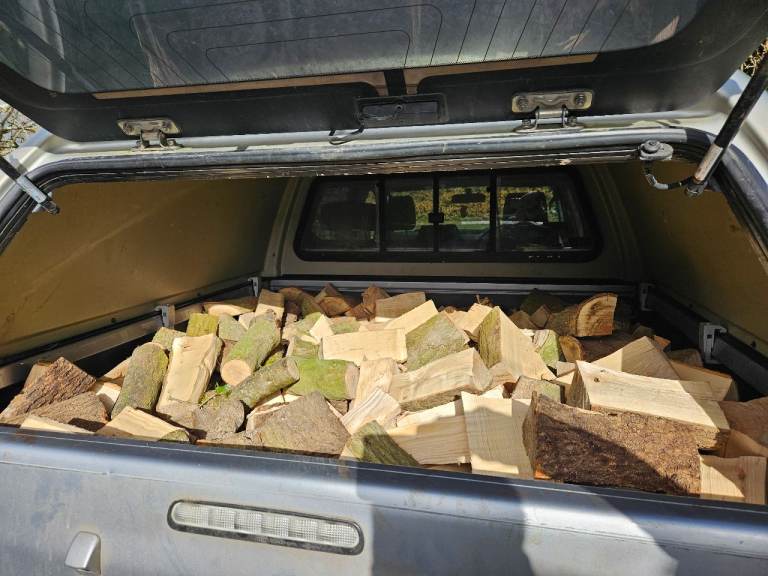 Hardwood logs. 