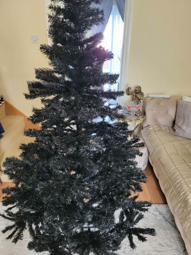 NEW 6FT BLACK COLORADO PINE CHRISTMAS TREE (CAN DELIVER)
