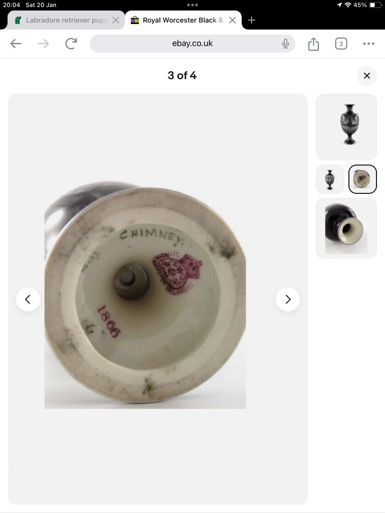 Rare Antique Royal Worcester Vase 