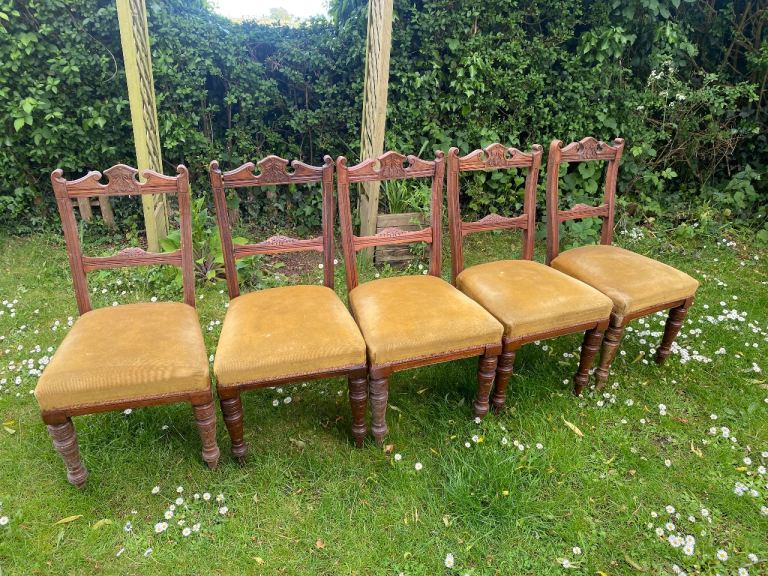 Dining room chairs