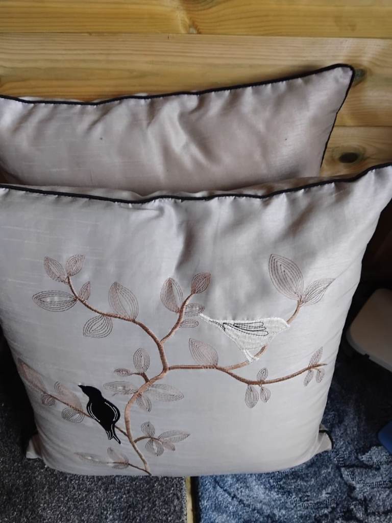 Set of 2 Cushions  - £3 for both