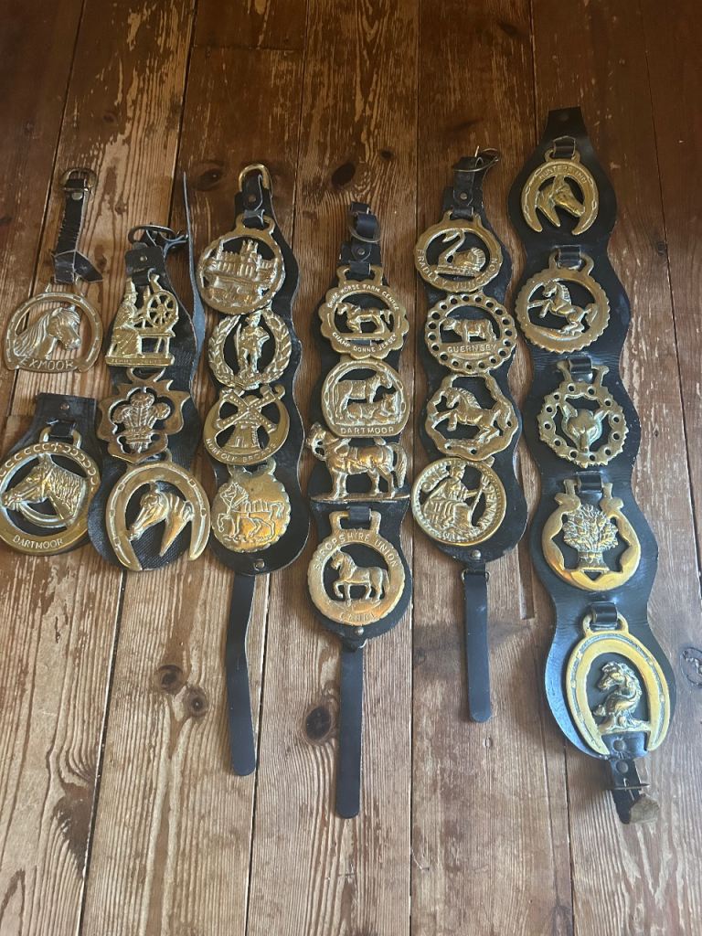 Collection of Brass Horse Brasses on Leather Straps