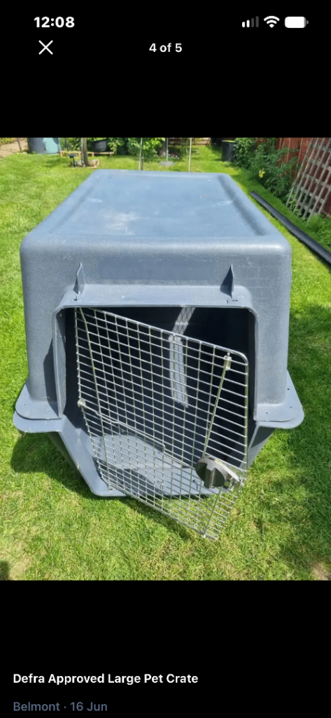 Large dog crate 
