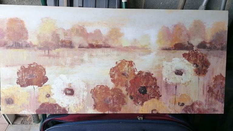 Poppy field scene
