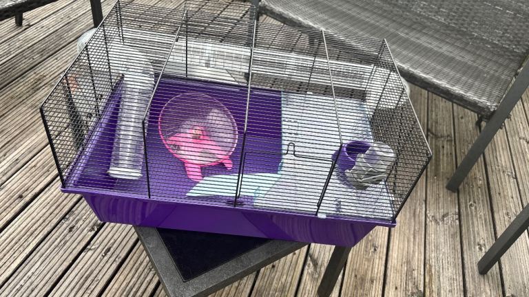 Hamster Cage