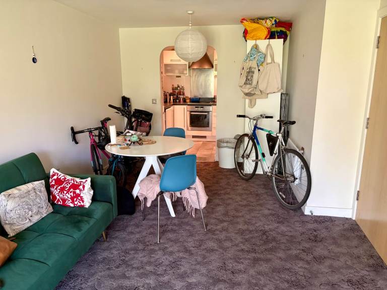 En-suite room in central flat overlooking park