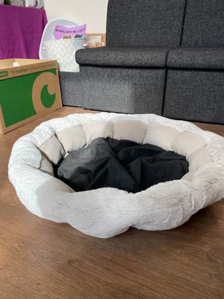 Noble Medium Dog Bed