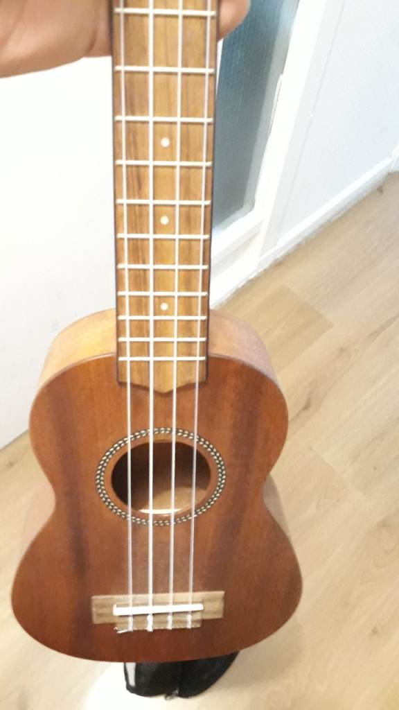Ukulele 