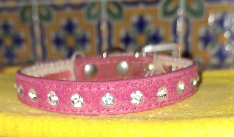 Pink Dog Collar for small puppy 