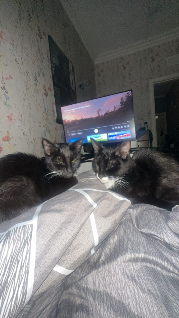 Luna and simba