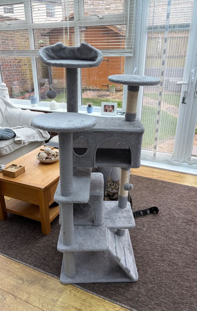 Cat tree for small cat / kitten 