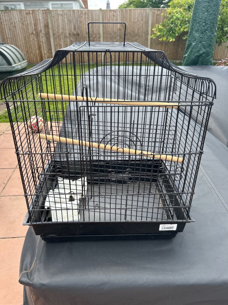 Small bird cage