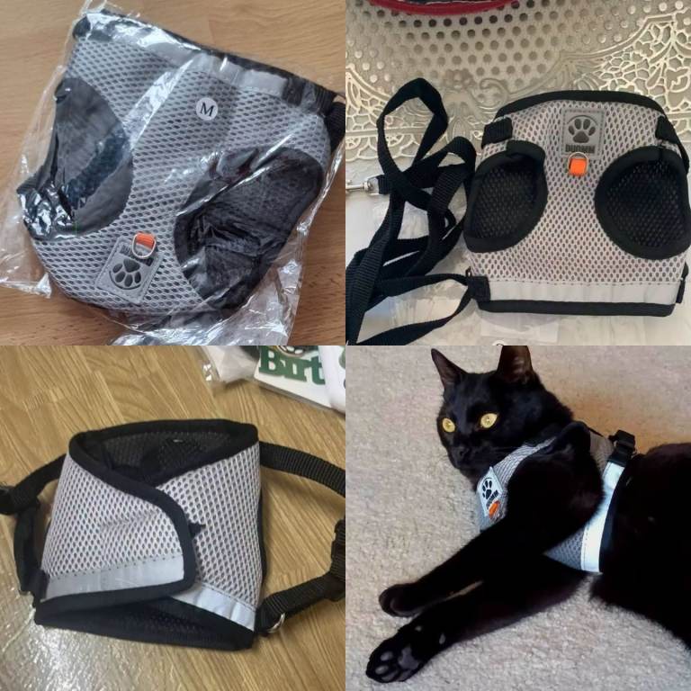 CAT AND DOG LEASH SET, VEST-STYLE PET HARNESS WITH ANTI-ESCAPE SUITABLE FOR , BREATHABLE MESH